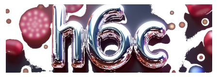 h6c logo